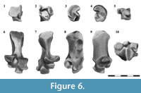 s figure6