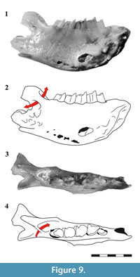 s figure9