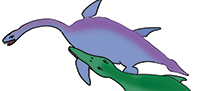 Plesiosaur humeral pathology