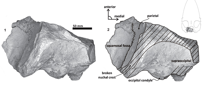 figure11