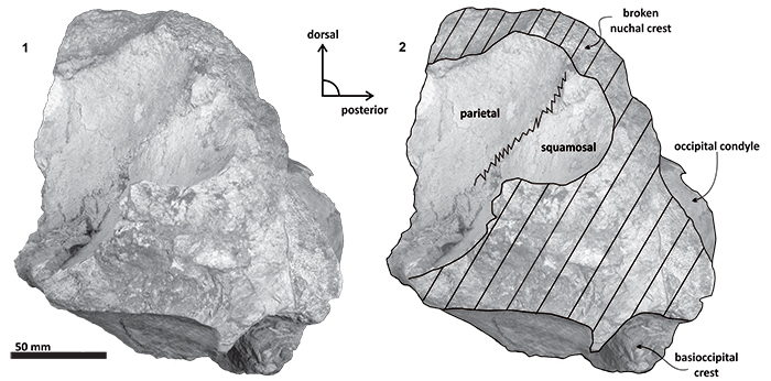 figure15