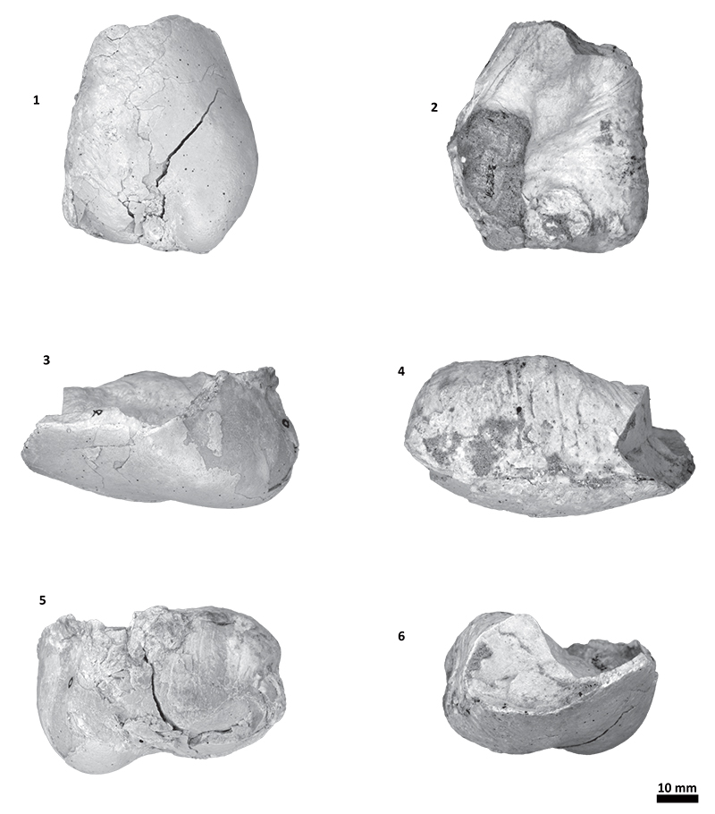 figure20