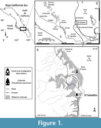 s figure1