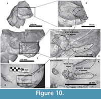 s figure10