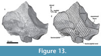 s figure13