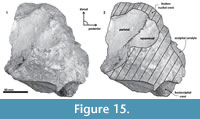 s figure15