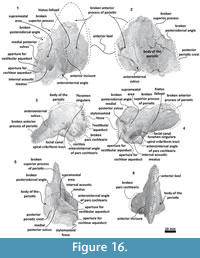 s figure16