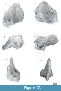 s figure17