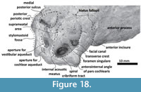 s figure18