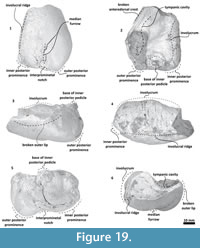 s figure19