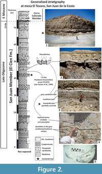 s figure2