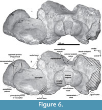 s figure6