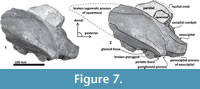 s figure7
