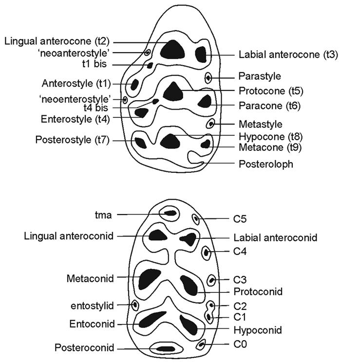 figure2