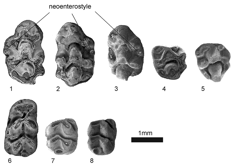 figure3