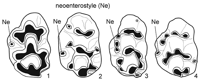 figure4