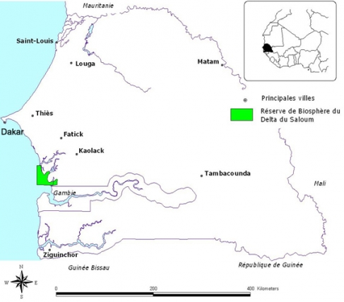Figure 1. Localisation du Delta du Saloum au Sénégal - Geographical position of Delta du Saloum in Senegal