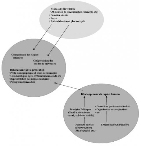 Figure 4. Modélisation du rôle du développement du capital humain dans la prévention des risques sanitaires