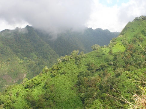 Figure 6. Zone dégradée envahie par des espèces ligneuses sur un relief montagneux escarpé en Polynésie Française