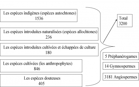 Figure 1. Quelques éléments de la diversité floristique des Petites Antilles