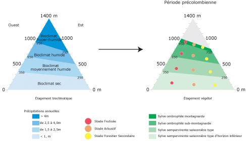 Figure 2. Potentialité écosystémique et bioclimats (Petites Antilles montagneuses)