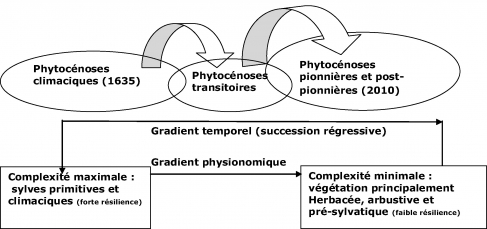 Figure 5. La végétation du présent : une mosaïque de profils écologiques