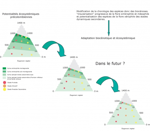 Figure 9. Évolution plausible des potentialités écosystémiques des (Petites Antilles montagneuses)