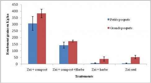 Figure 7. Rendements grains (moyenne ± erreur standard) du sorgho en fonction des traitements - Sorghum grain yields (average ± standard error) following treatments