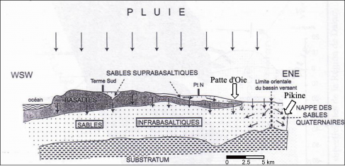 Figure 15. Influence de la pluviométrie sur les nappes d'eau souterraine de la région de Dakar