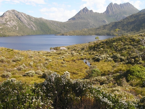 Figure 4. Dans les zones insulaires montagneuses, comme ici en Tasmanie, la pression d’espèces exotiques invasives reste faible