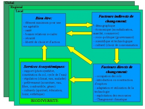 Figure 3. Cadre conceptuel de l’évaluation des écosystèmes pour le millénaire.