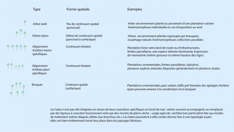 Figure 1. Exemple de typologie des structures arborées en milieu littoral. <em>Example of the typology of tree-covered structures (coastal areas)</em>