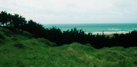 Figure 11. Rideau d’arbres protecteurs Row of protective trees (tree-covered landscape to the north of the Flamanville Cape [French department of Manche])