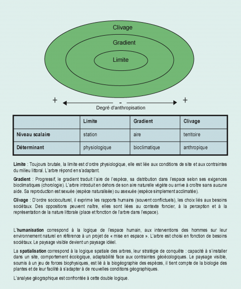 Figure 2. L’arbre : un objet entre humanisation et spatialisation. <em>Trees : an object caught between humanisation and land-use</em>