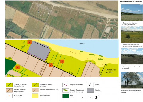 Figure 4. Trame paysagère et diversité des structures arborées. <em>Landscape types and diversity of tree coverage patterns</em>