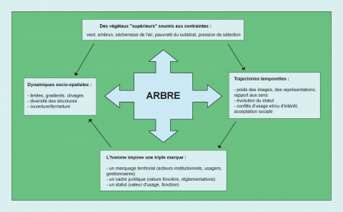 Figure 5. L’arbre à la croisée des chemins : un objet entre nature, culture, et société. <em>The tree at crossroads : an object positioned between nature, culture and society</em>