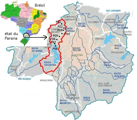 Figure 1. Localisation de la zone étudiée et des points de collecte (P01 à P08<em>). Location of the investigated area and sampling points (P01 to P08)</em>