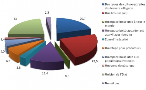 Figure 2. Représentations de la forêt classée par les populations riveraines – The riparian populations’ representations about the classified forest