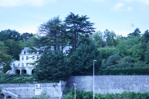 Figure 9. Vue sur les demeures face à la Loire