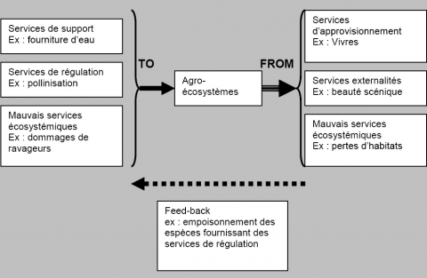 Figure 2. Services et mauvais services des écosystèmes agricoles