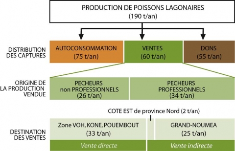 Figure 2. Distribution et commercialisation de la production estimée de poissons lagonaires dans la zone d’étude en 2009. Distribution and sales of estimated reef fish catches in the study area in 2009.