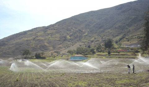 Figure 14. Système d’irrigation par micro aspersion (bailarinas), Mocao