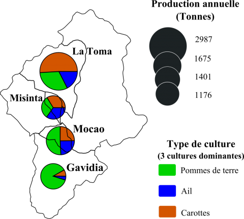 Figure 4. Production annuelle des trois principales cultures à Gavidia, Mocao, Misintá et La Toma en 2008