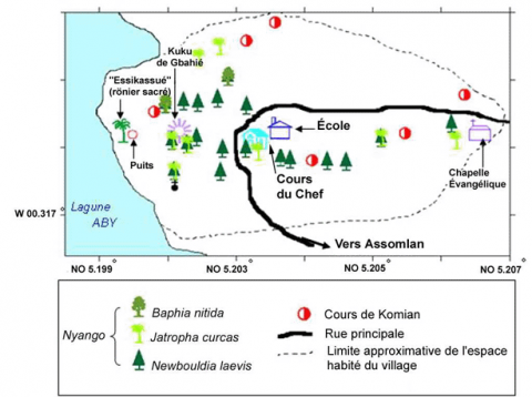 Figure 3. Localisation des Nyango, des cours de Komian et autres sites religieux de Mélékoukro.