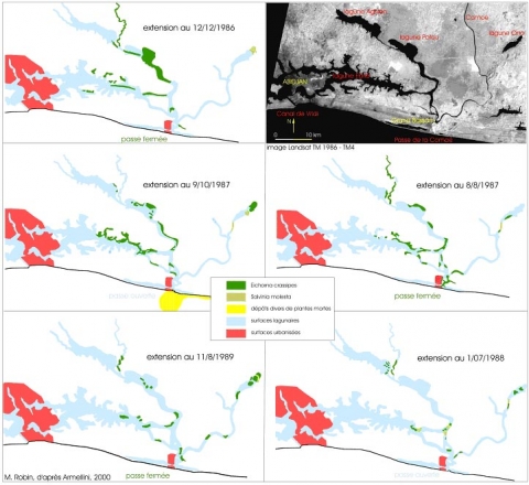 Figure 9. Exemple d'observation et de suivi : variation de l'extension des végétaux aquatiques envahissants en lagune Ebrié