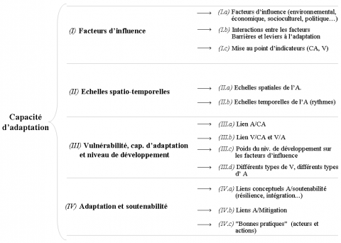 Figure 1. Quatre axes de recherche pour approfondir la compréhension de la capacité d’adaptation