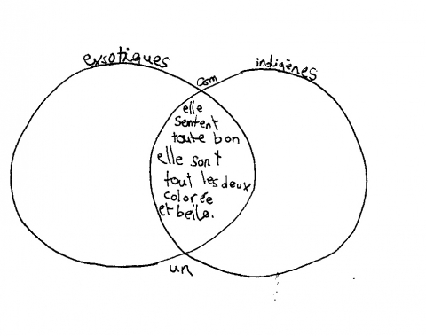 Figure 1. La compilation des avantages semblables : l’exemple de Claudine