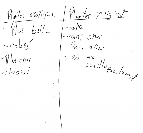 Figure 3. La liste de comparaison des avantages et des inconvénients : l’exemple d’Anne