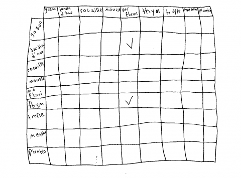 Figure 4. Le choix par compatibilité des options : l’exemple de Coralie