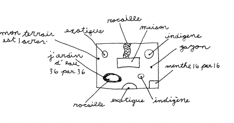 Figure 5. Le choix par visualisation du résultat anticipé : l’exemple de Nathan